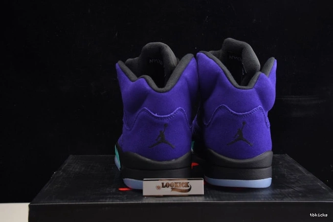 Rep TB Jordan Air Retro Grape 136027-500 5 Alternate 0702